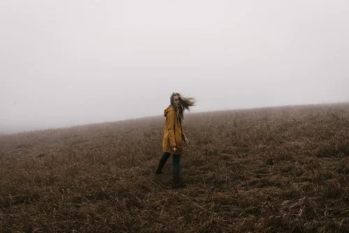 Fog in The Great Lake State