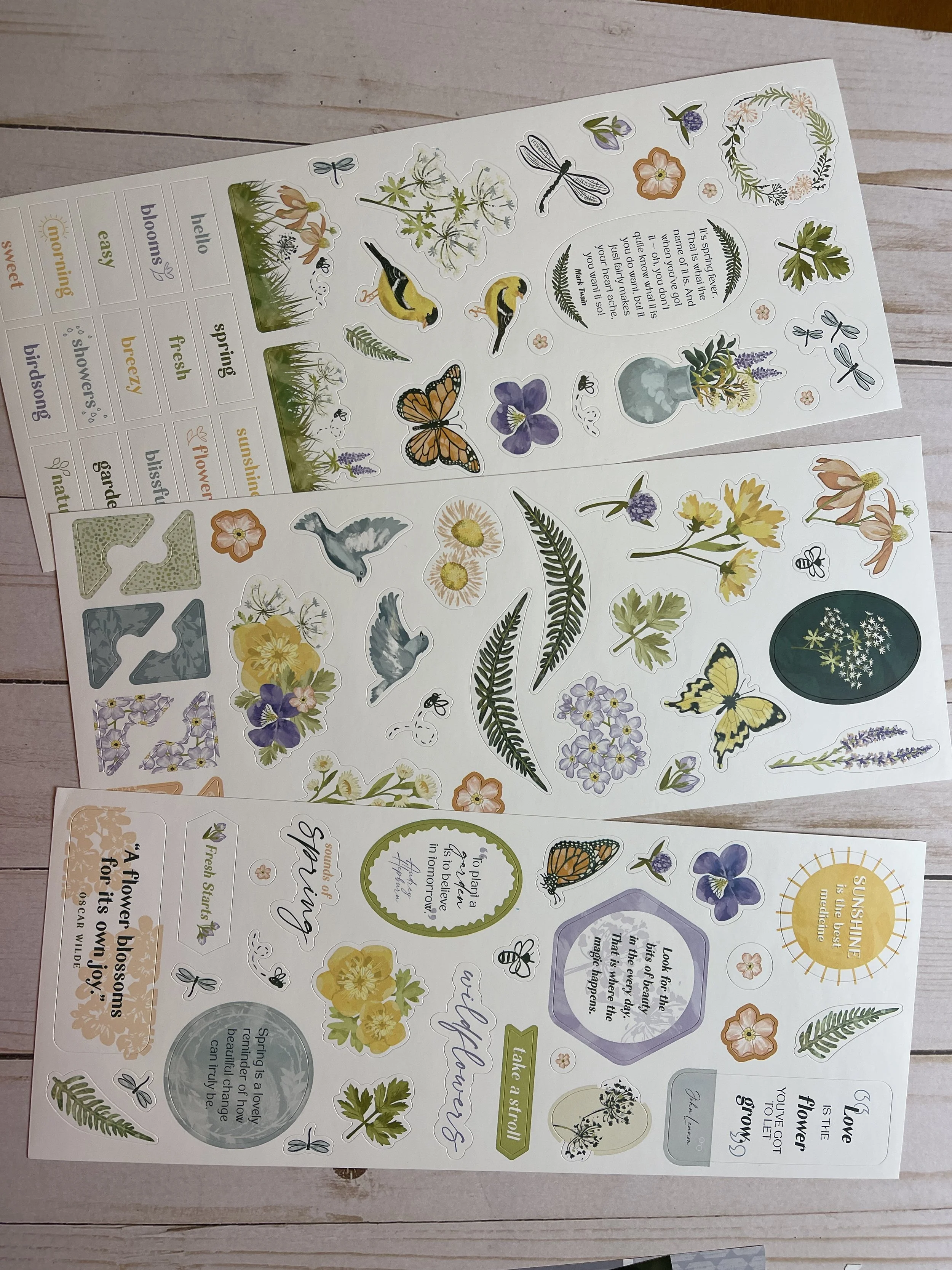 Endless Meadows Designer Sticker, 3 pack