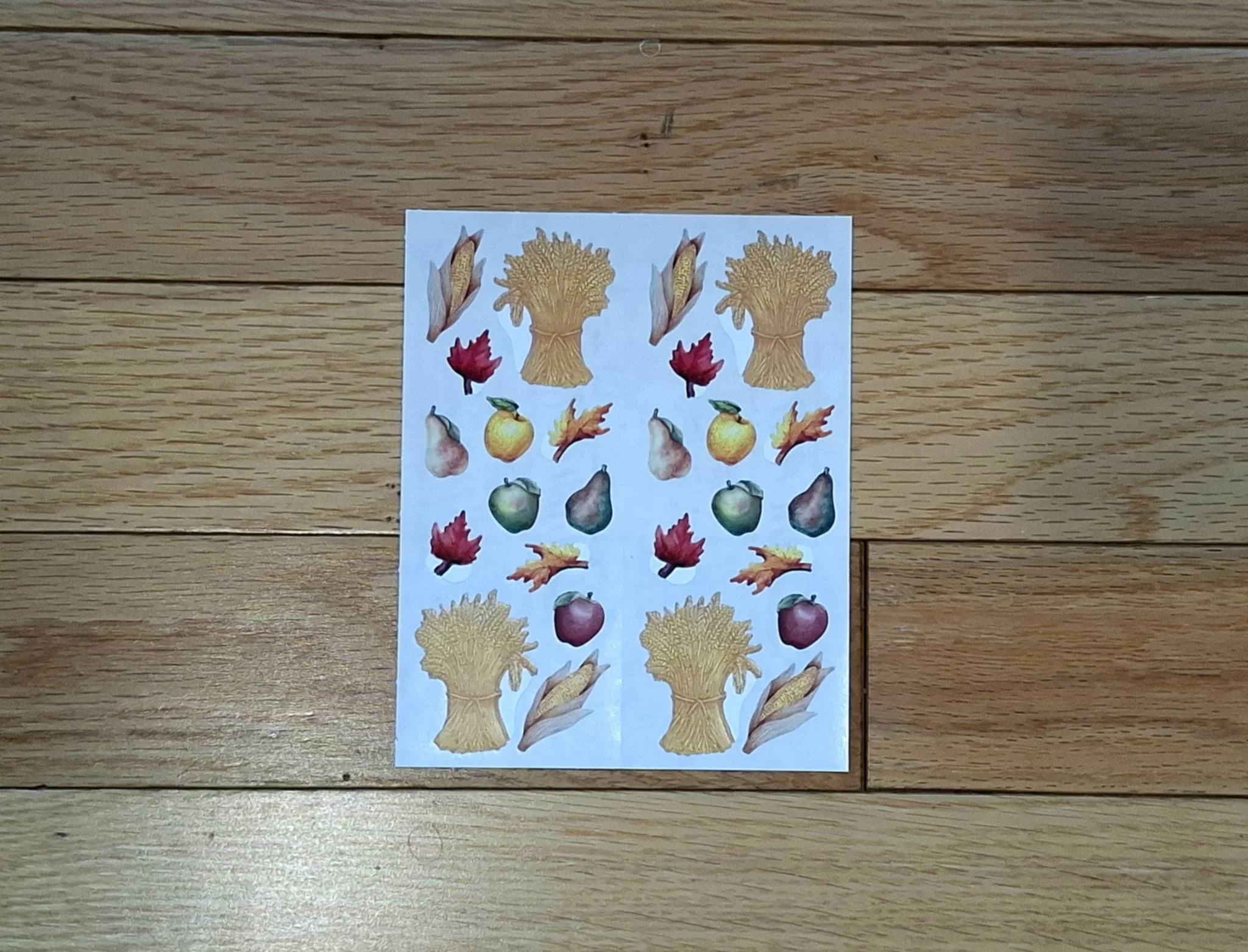 Festivities Harvest - 2 strips
