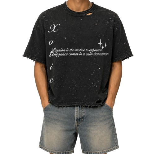 Elegant Cropped Tee