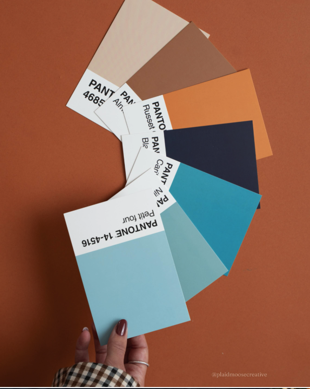 Plaid Moose Creative 2025 Year in Review | Branding, Marketing &amp; Creative Wins