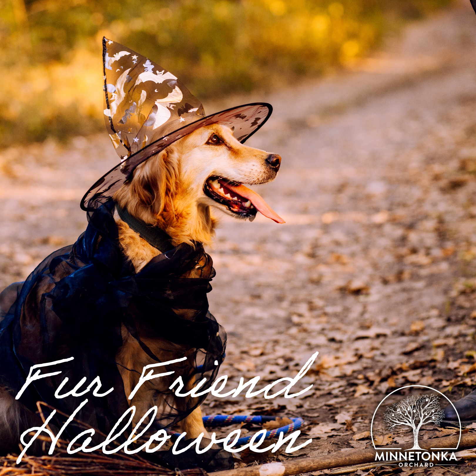 Instagram Dog Day Event.png