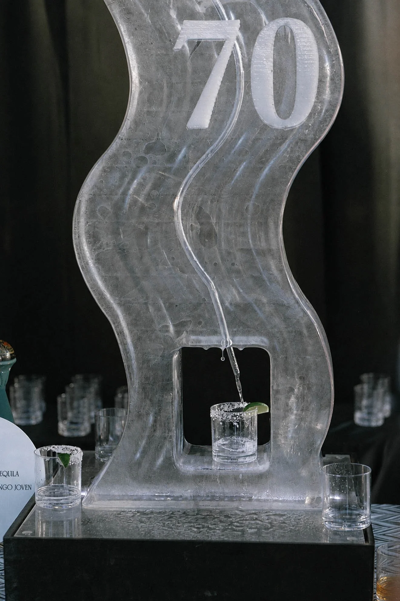 16interactive-ice-luge-private-birthday-party.jpg
