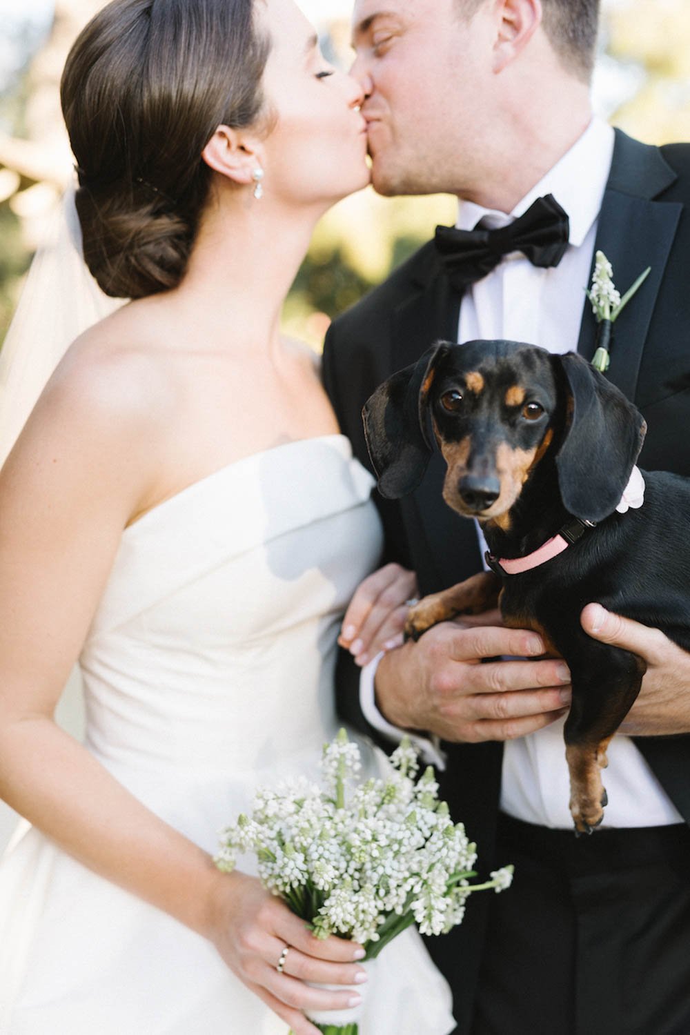1 Left Puppy in Wedding Ceremony with Couple.jpg