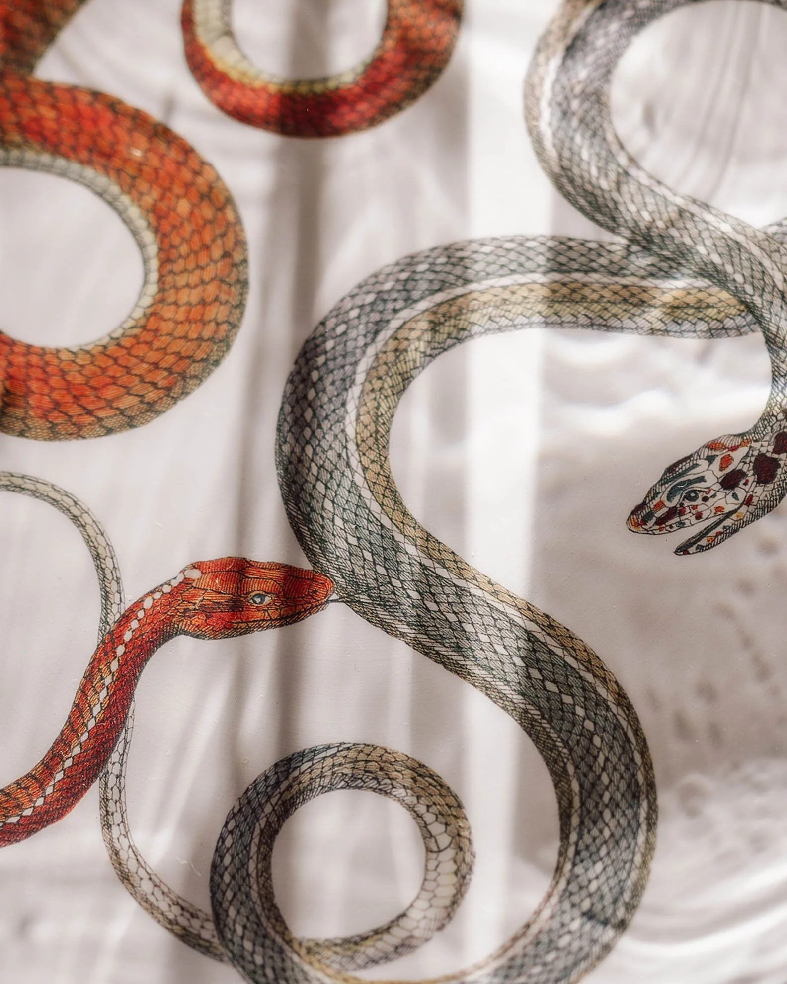 30tabletop-design-snake-print-china.jpg