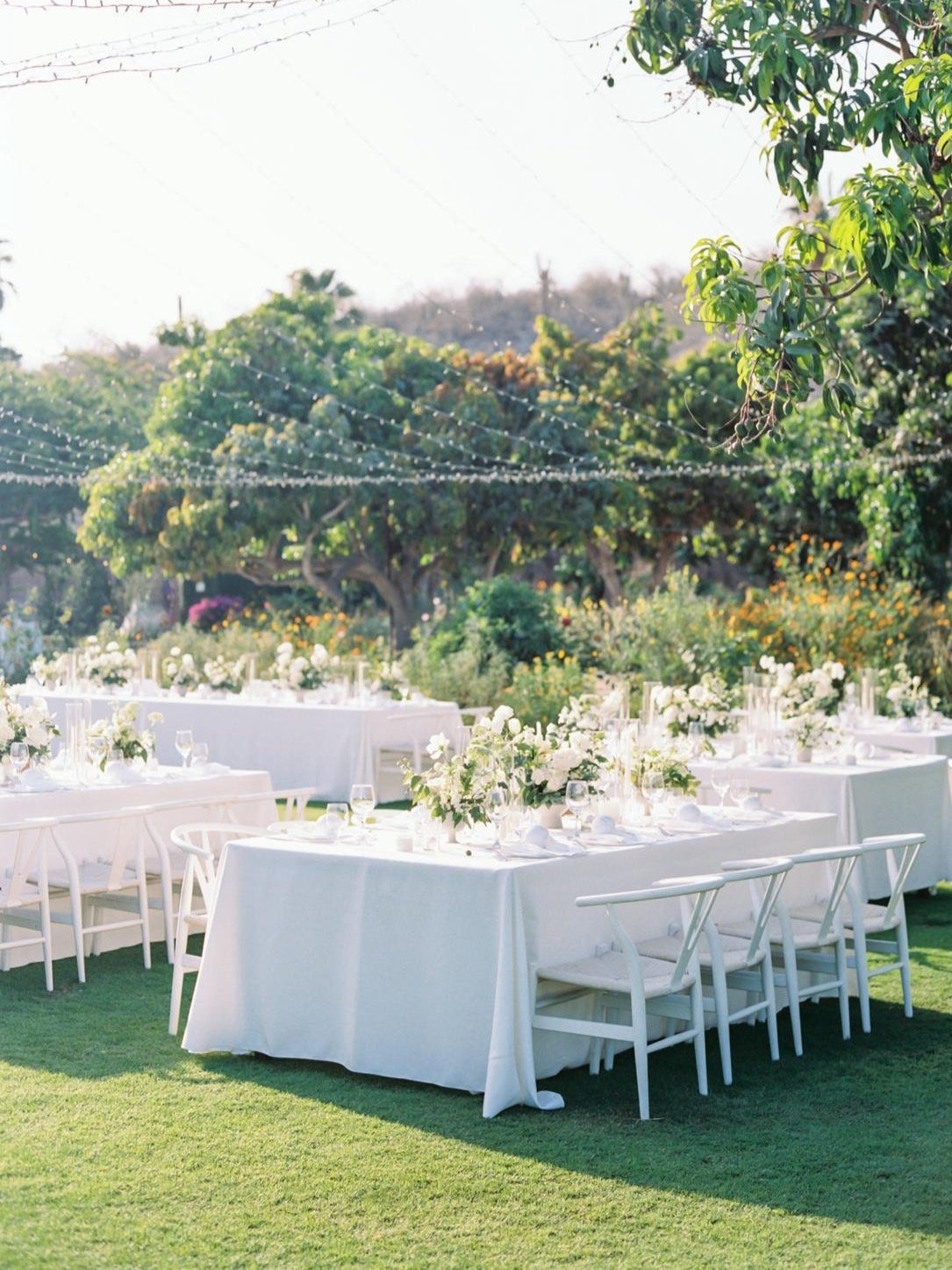 Flora Farms, Photographer Meredith Benton2 .jpg