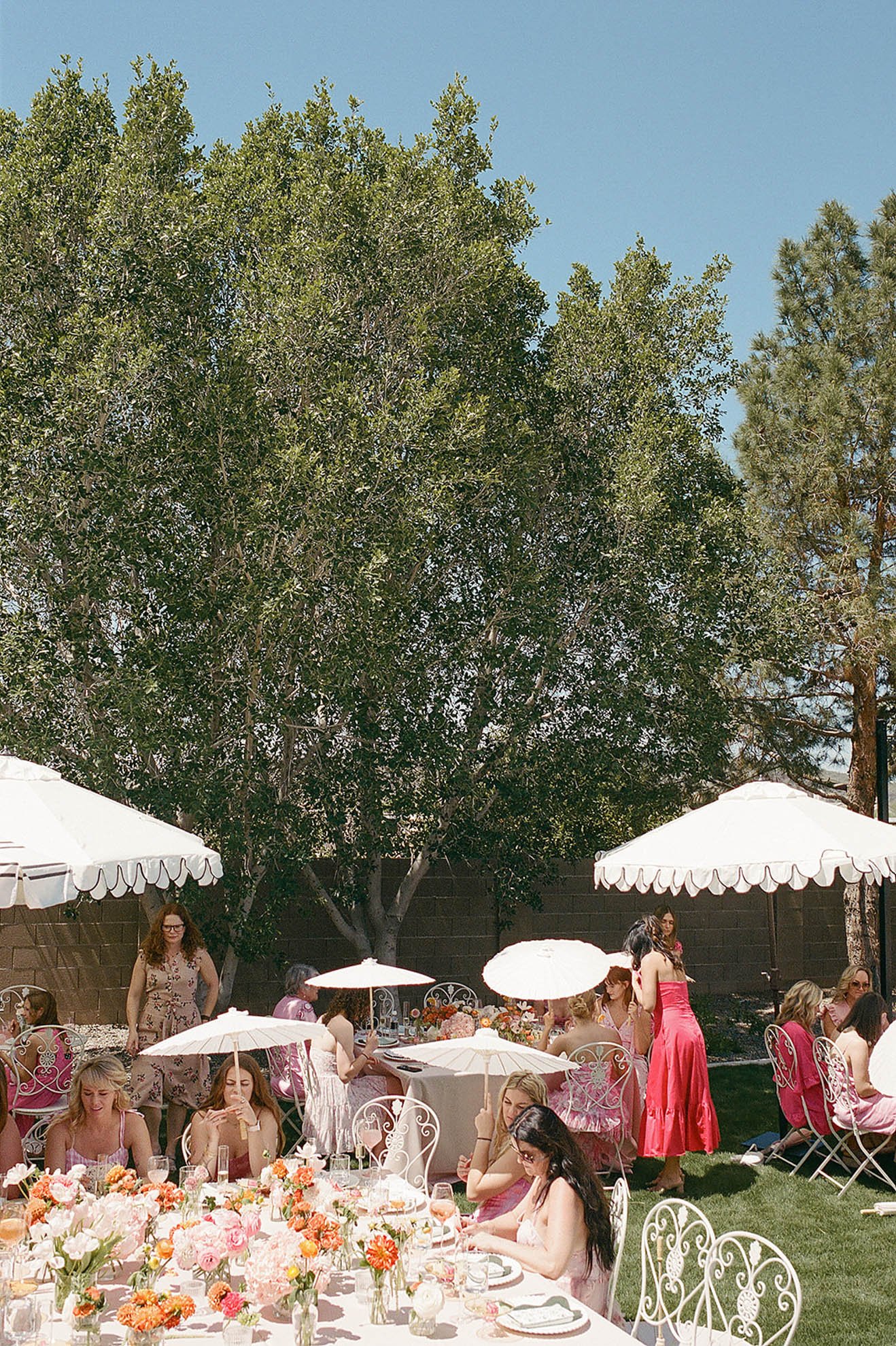 38.bridal-shower-backyard-celebration-guests.jpg