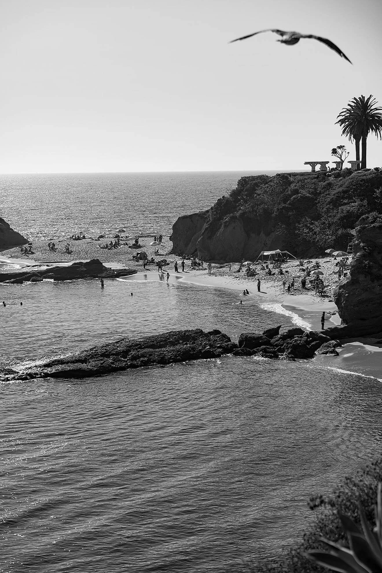 4 Ella+Caden-MontageLagunaBeachWeddingRehearsal-Summer2024-MASHAIDA-8129.jpg