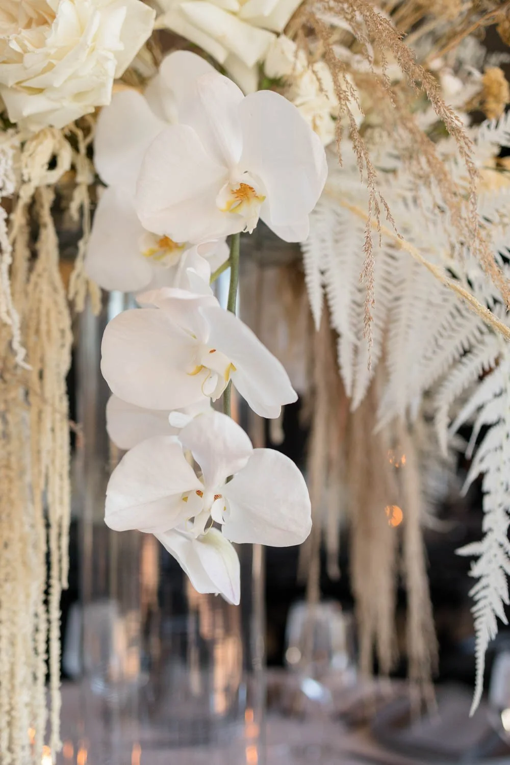 5neutral-corporate-event-design-sanctuary-camelback.jpg