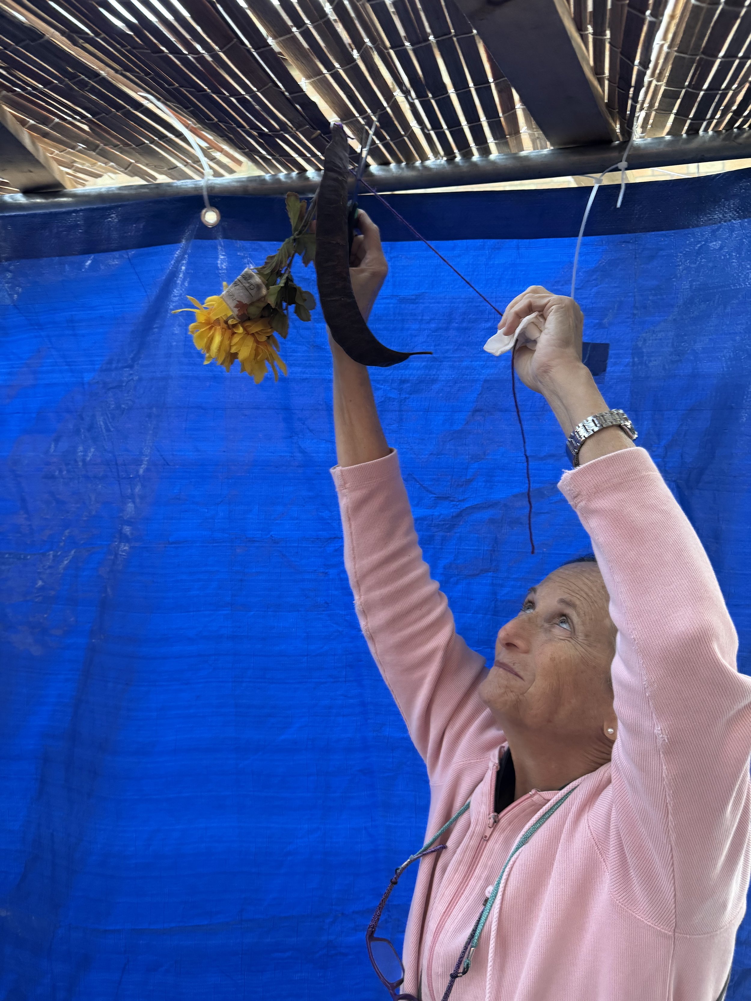 Decorating the Sukkah Oct 2026