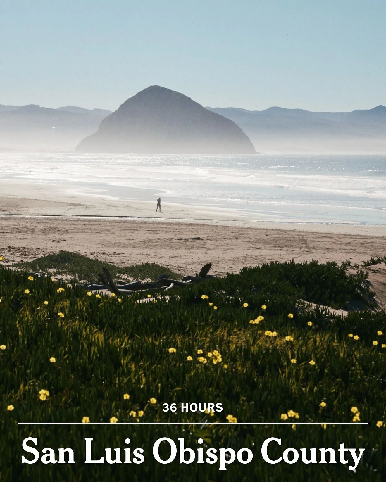 A slow table in a fast world, so proud to be included in New York Times &ldquo;36 Hours in San Luis Obispo&rdquo; alongside so many friends and places and we love. 

@cruisecontrolcontemporary @jansplaceslo @thepacificmotel @slocal 

Thank you @nytim