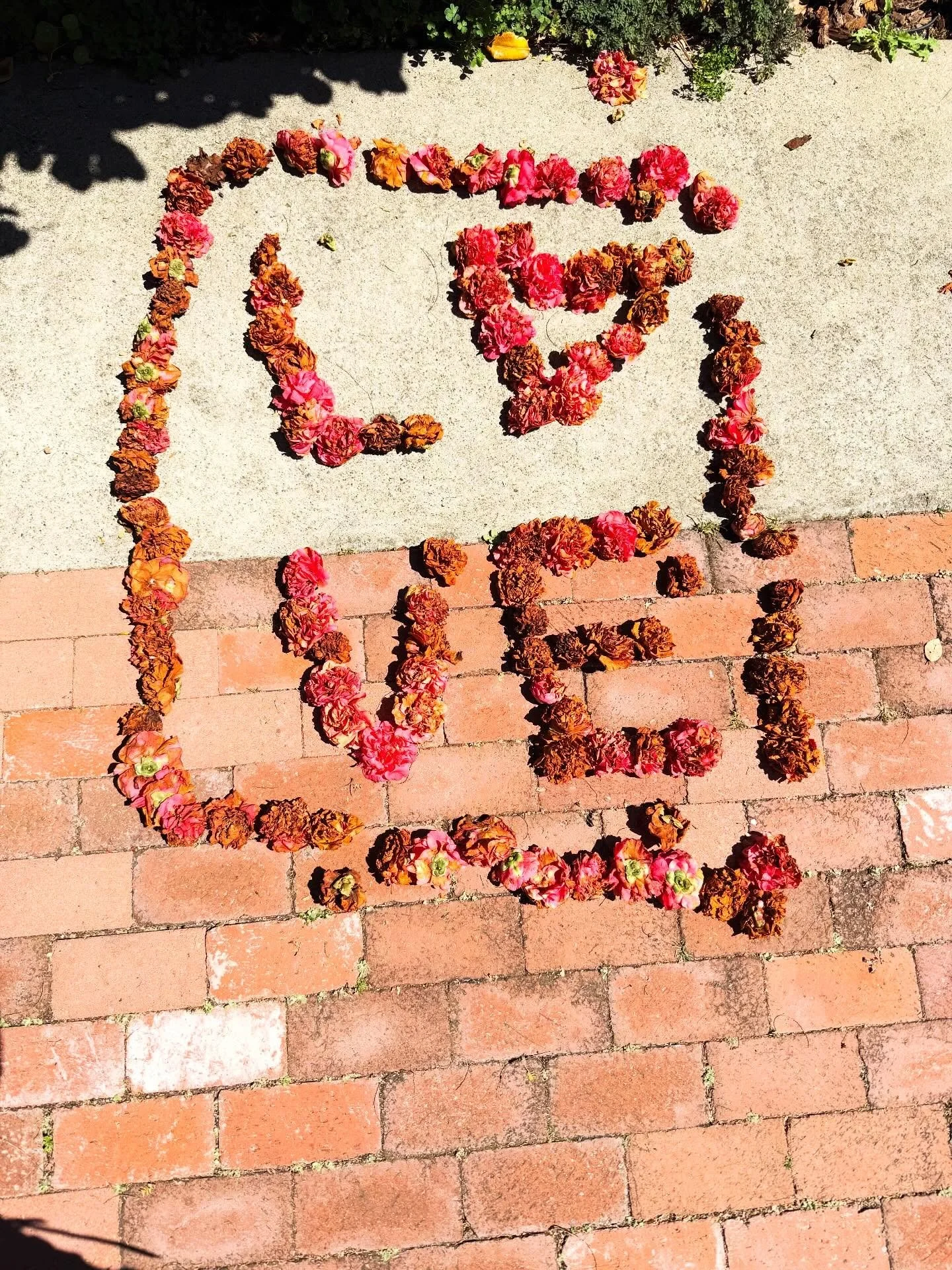 Thank you to the sweet soul that left this on our front patio. 💕 Walked in to this beautiful piece this morning.  Happiest way to start a day. ❤️