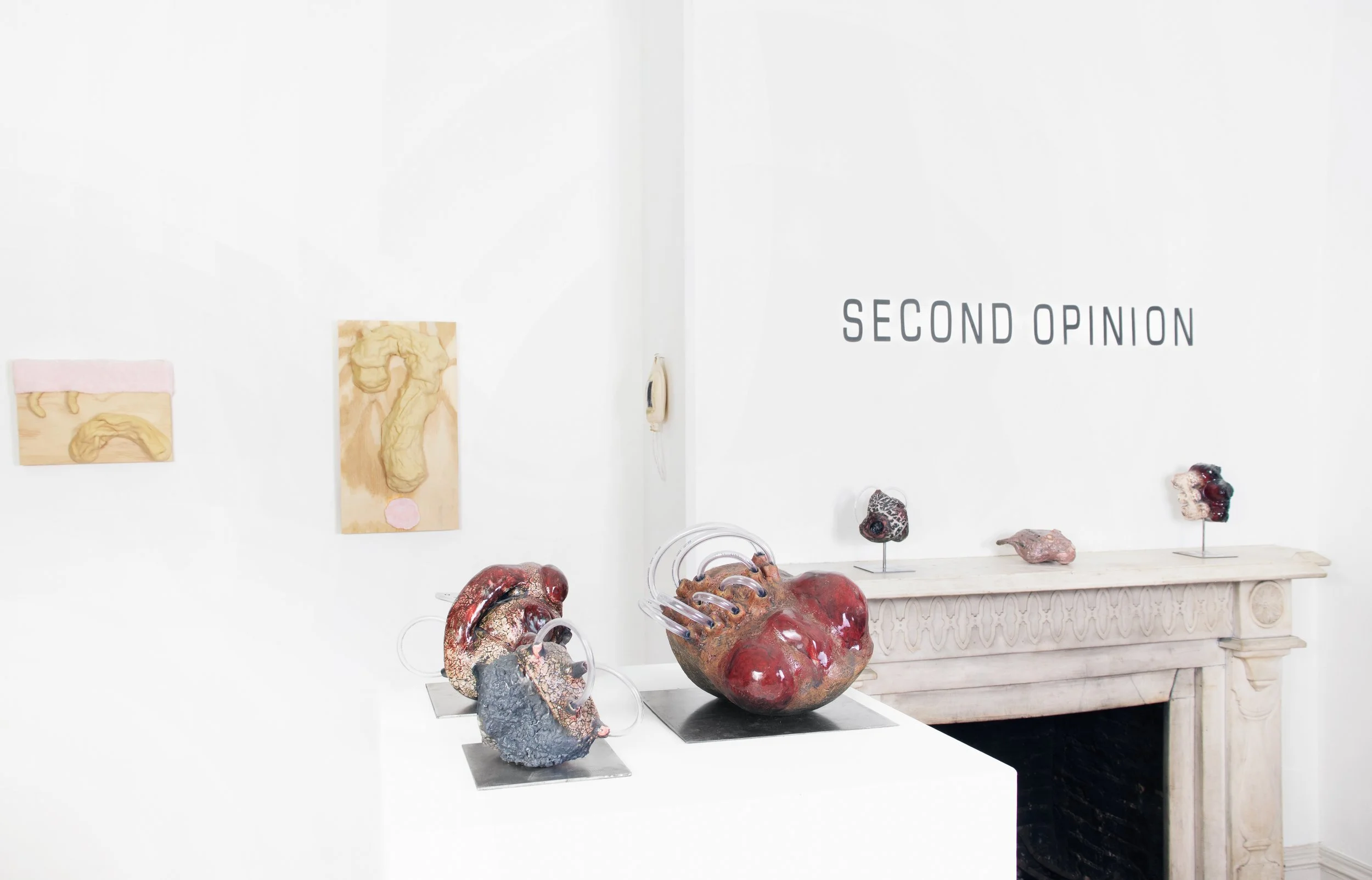 025_SecondOpinion.jpg