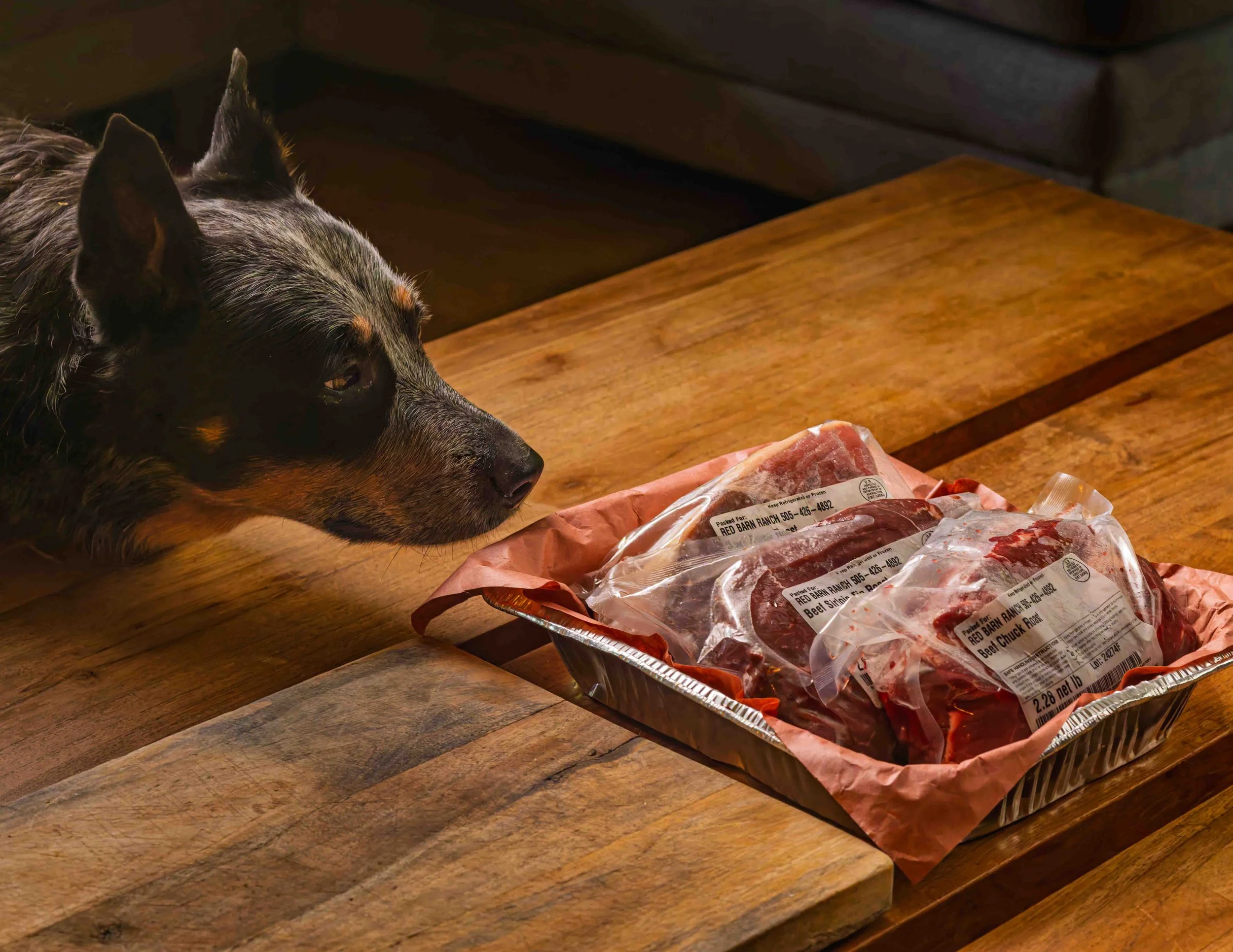A dog looking at packaged raw meat on a wooden table.