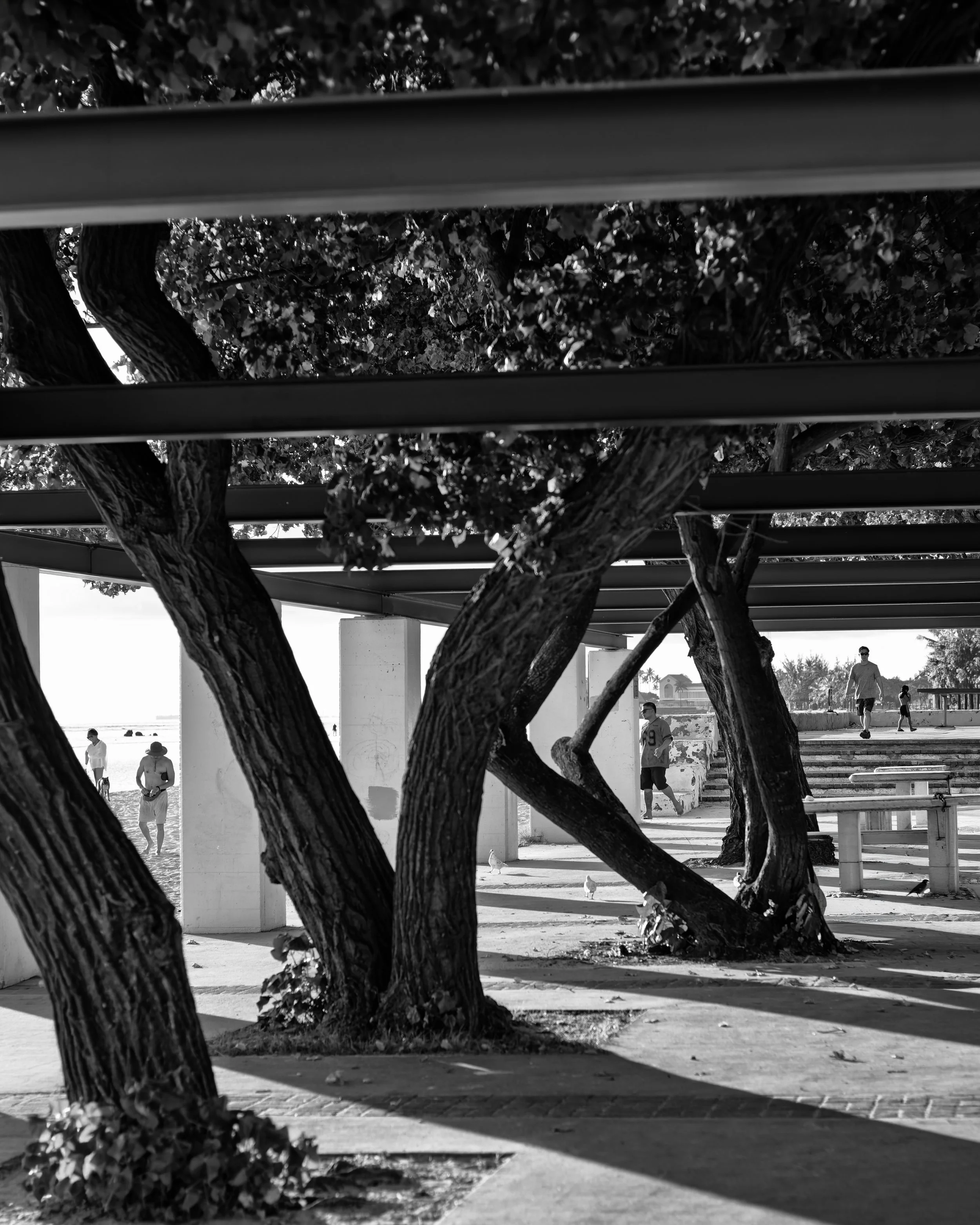 easter '26 edit 2.jpg