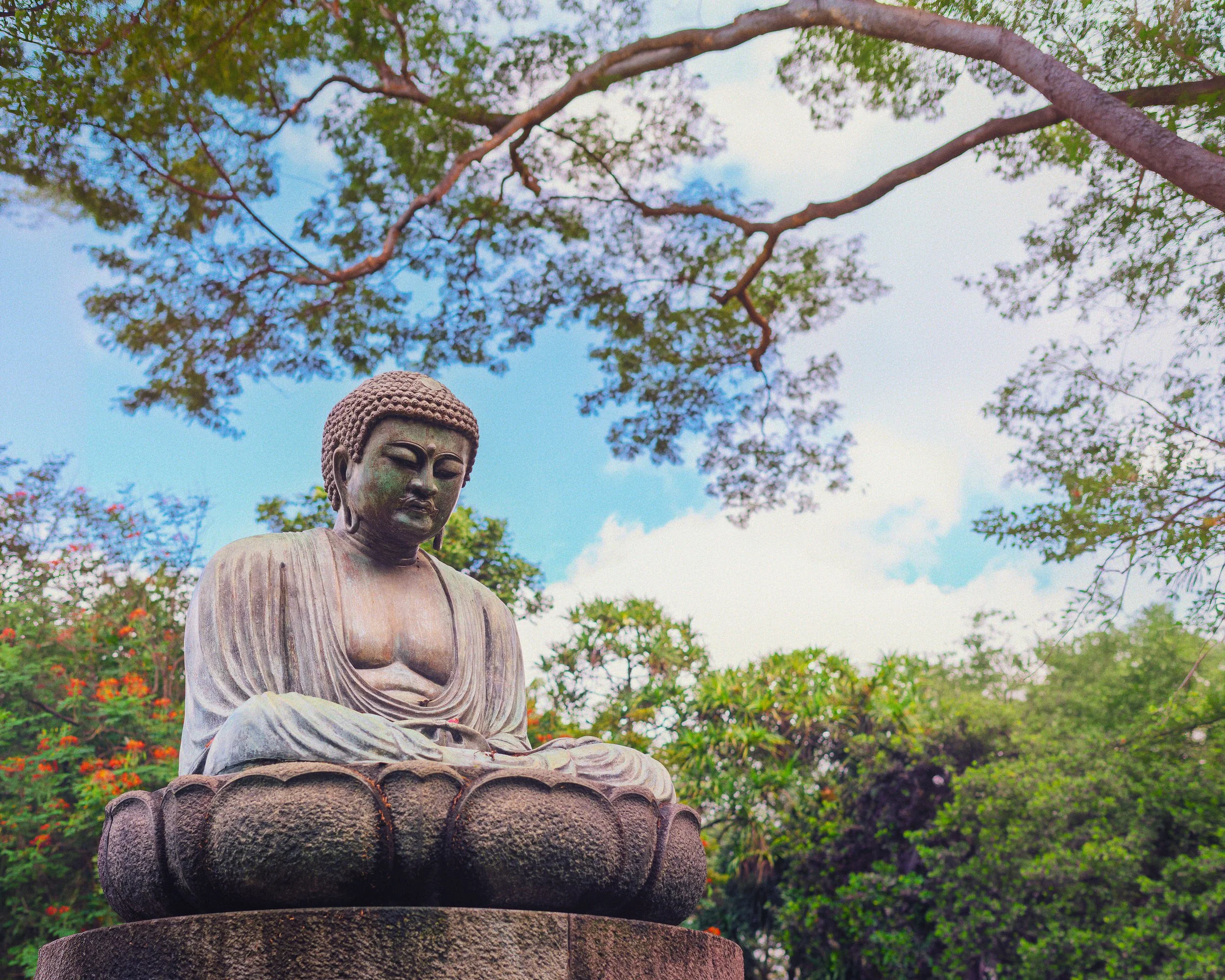 A stone Buddha statue sitting in a meditative pose outdoors among green trees with a blue sky and white clouds in the background.