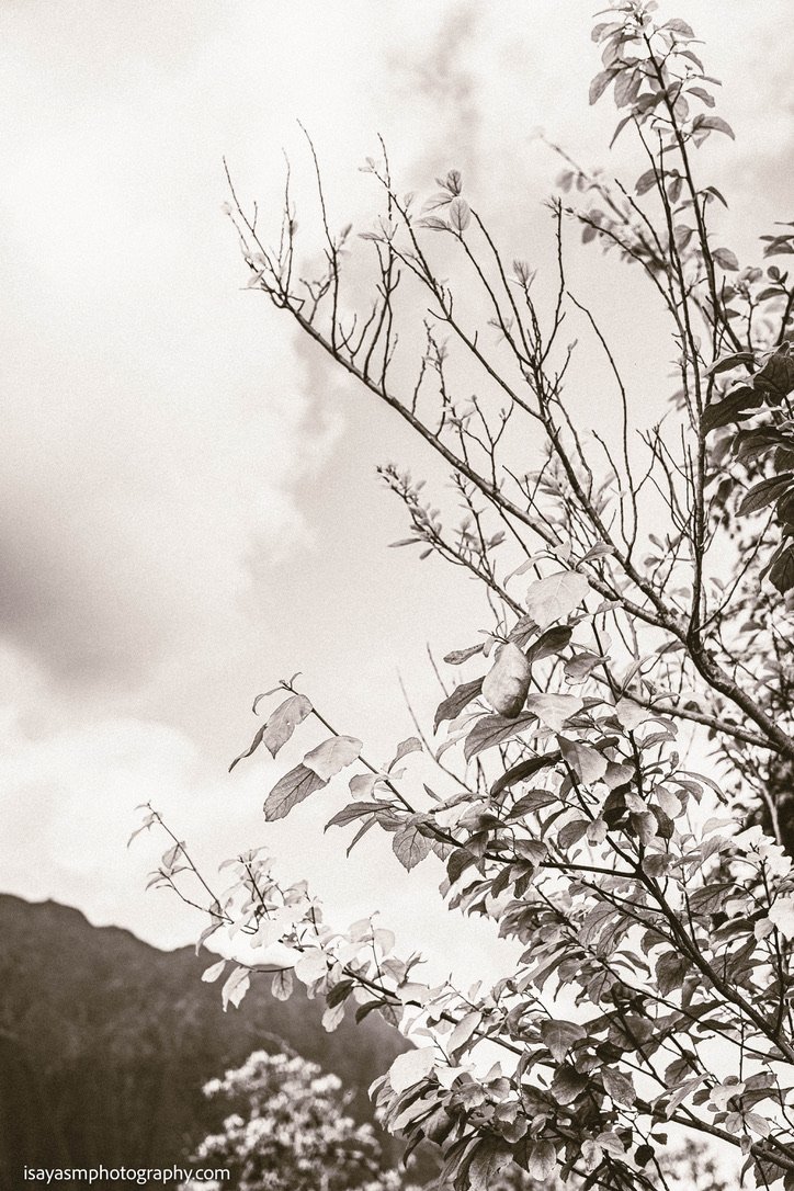 F0579F00-0D27-41AF-AC0B-02640FB798F0_1_105_c.jpeg