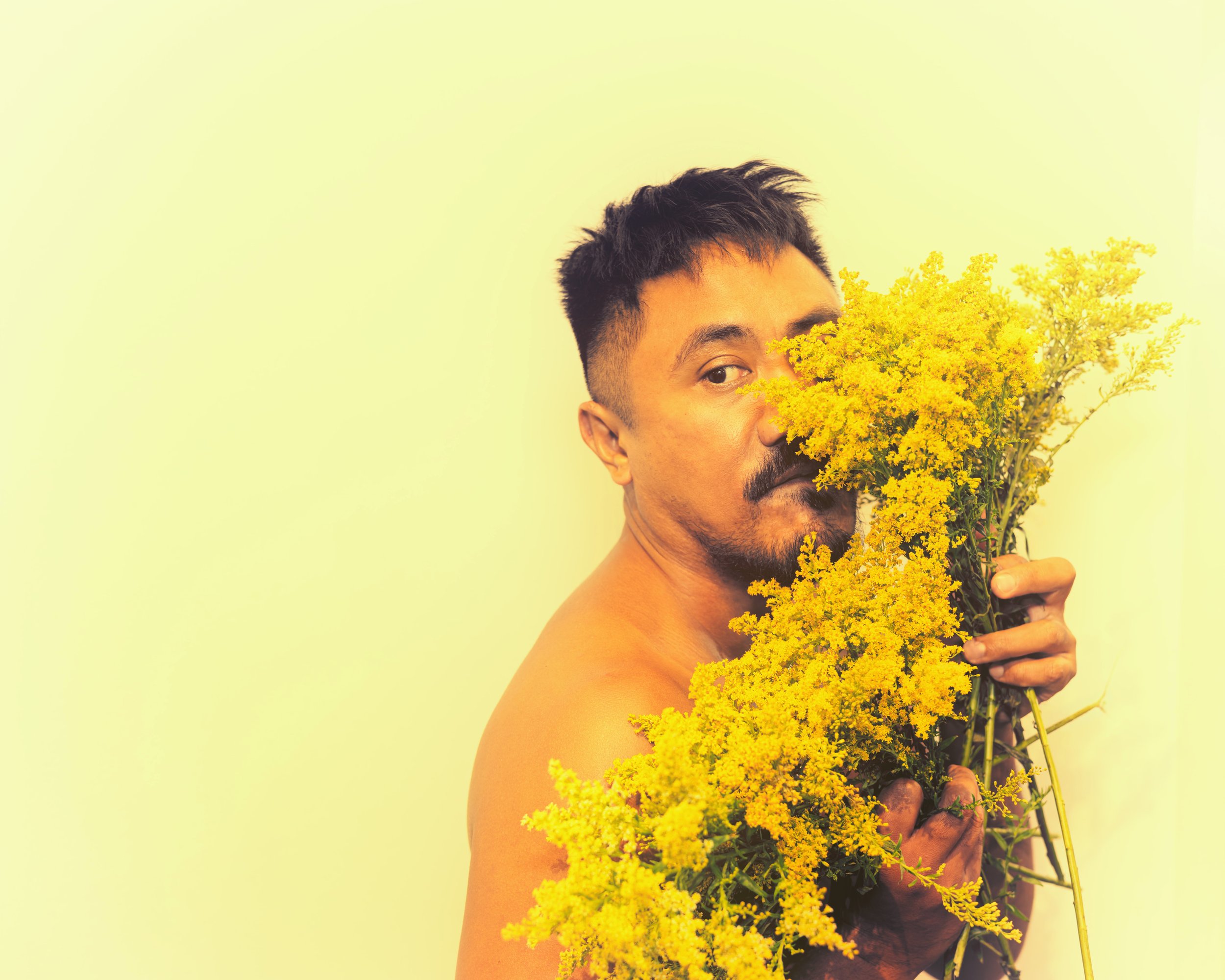Matt Yellow Flowers.jpeg