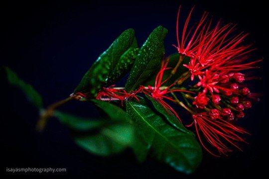9DDD3080-7465-4EDD-A65D-582E0EE2C5B8_4_5005_c.jpeg