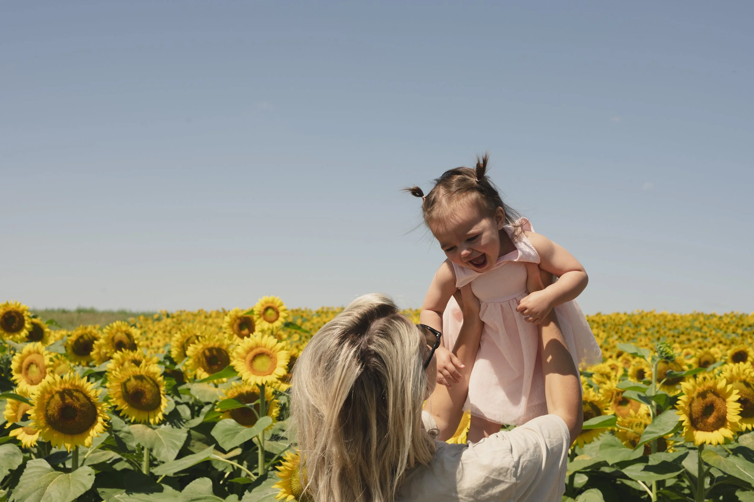 Sunny-Sunflower-July2024-27.jpg