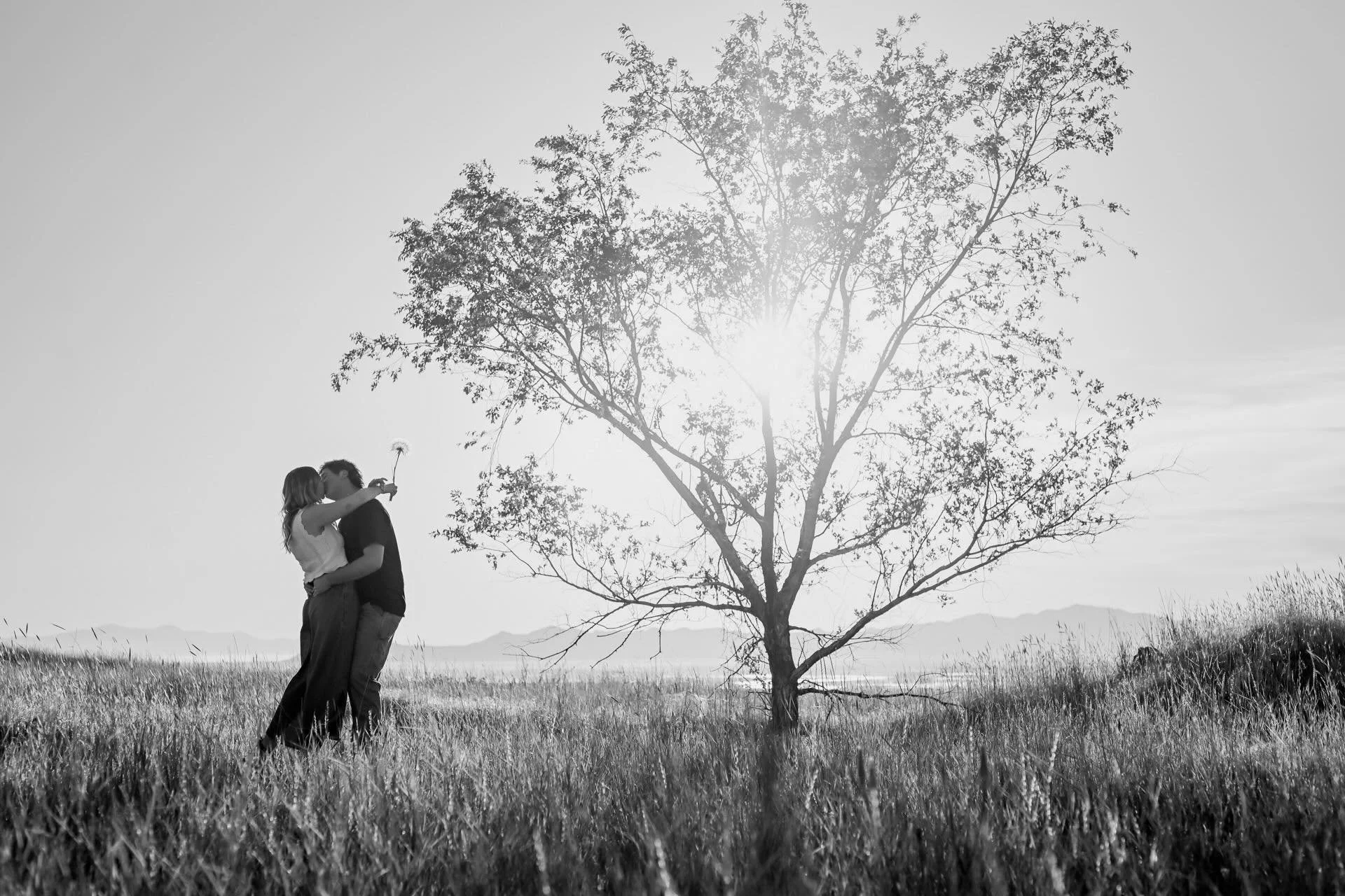 I&rsquo;ve photographed in this place a million times but never once noticed this tree.  Maybe it&rsquo;s because we had to climb through barbed wire to get to it, but I&rsquo;m so glad we did.