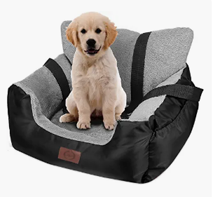 Cute puppy sitting in a gray and black pet bed