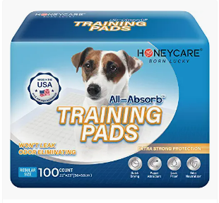 Box of Honeycare all-absorb training pads with a picture of a dog on the packaging.