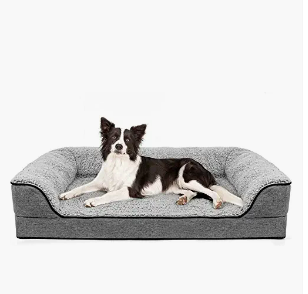 A black and white dog lying on a gray dog bed.