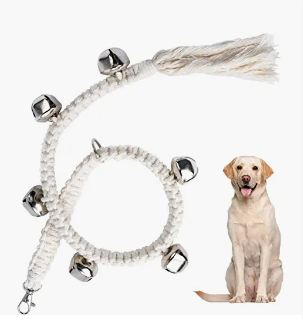 Dog sitting next to a white, knotted rope toy with bells.