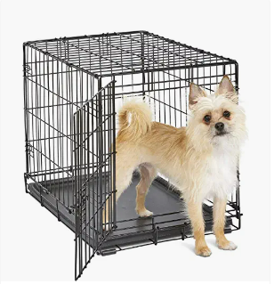 A small dog standing inside a black metal pet cage with an open door.