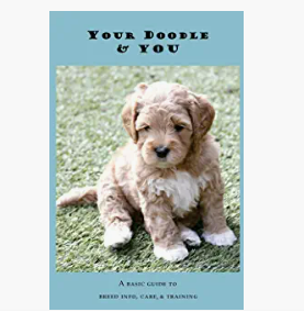 Cute brown and white puppy sitting on grass with blue background and text.