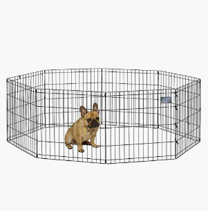 A French Bulldog sitting inside a wire pet pen with a digital thermometer attached to the side.