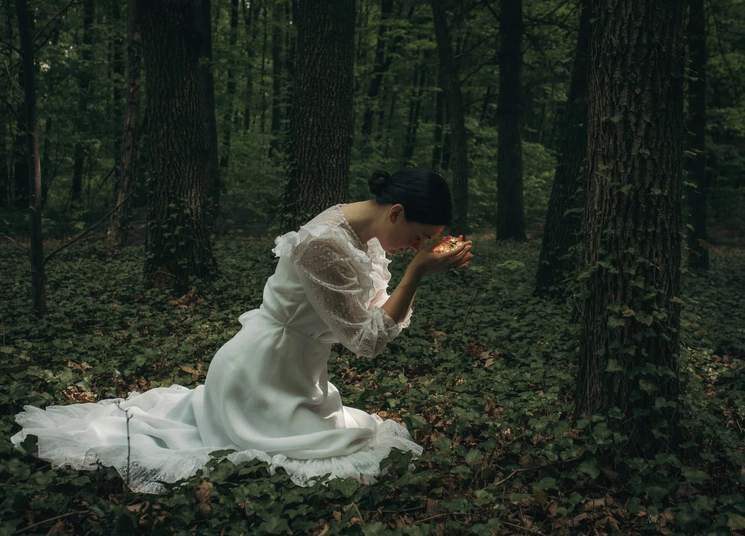 My Missing Piece in My Search for Consciousness: Contemplative Capacity