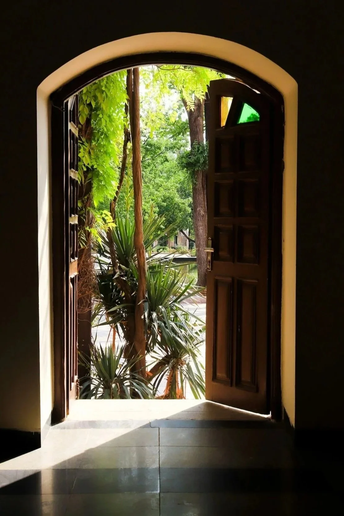 Three white mushrooms growing on a mossy surface in a dark forest setting.
