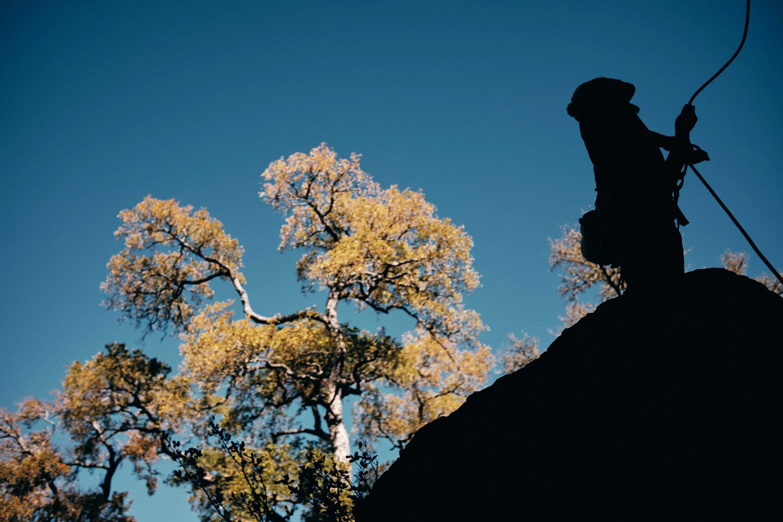 20251111Veteran's Day Climb 2025_134.jpg