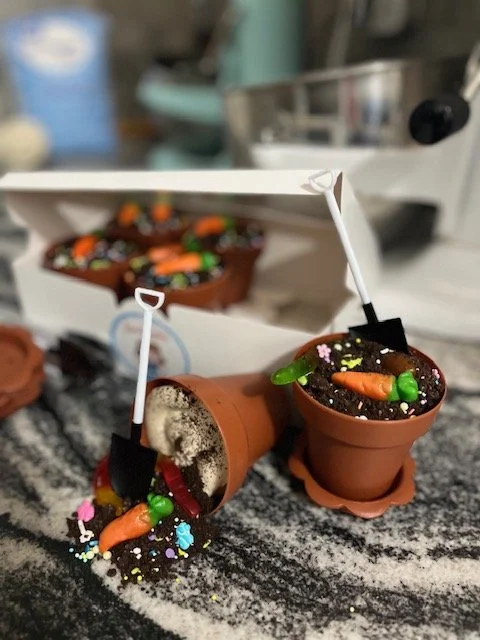 Easter Brownie Flowerpot Dirt Cake 1/2 Dozen Box