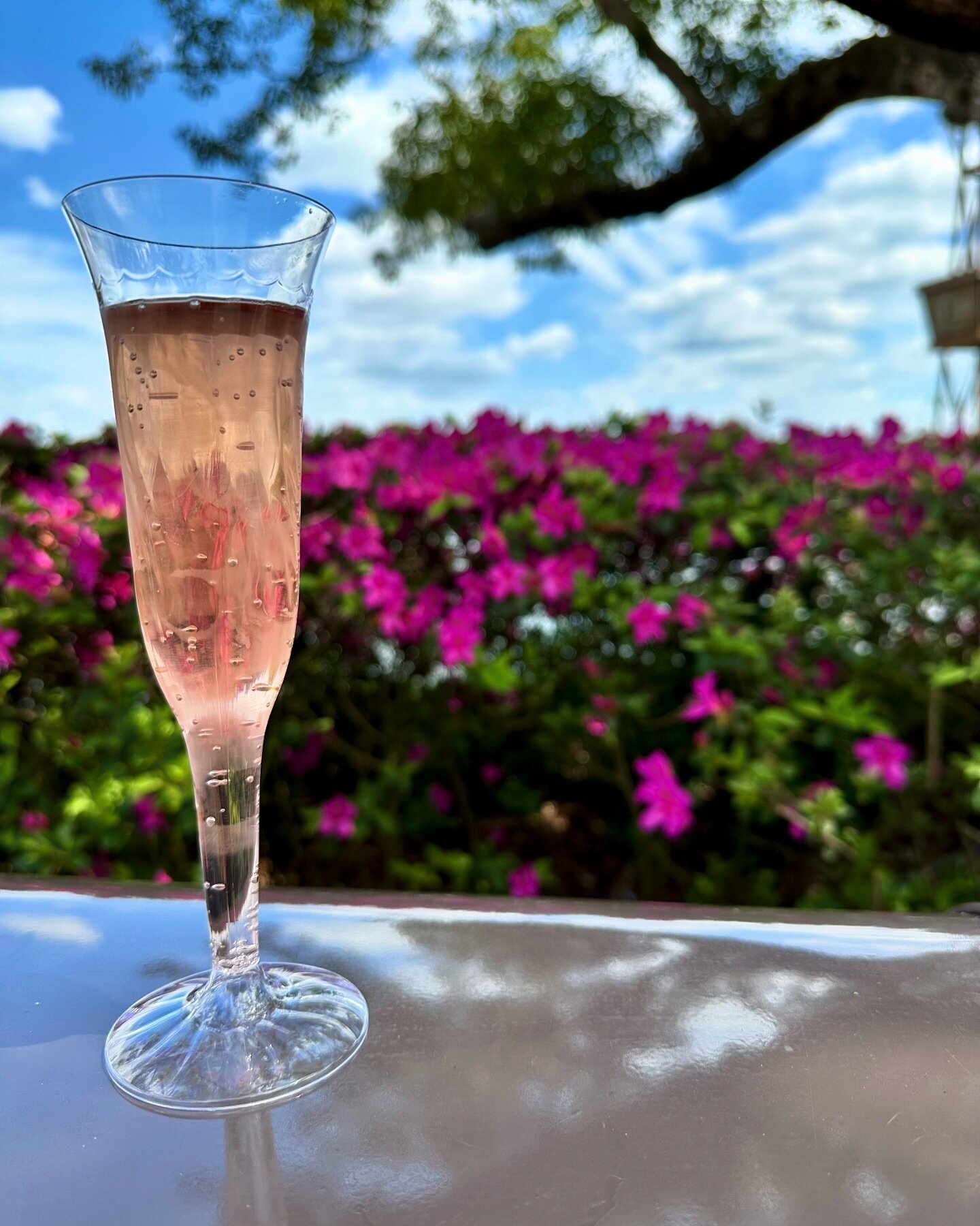 Sweet and simple: sparkling wine with a splash of Monin raspberry syrup from the France Pavilion at the EPCOT Flower and Garden Festival. Light and refreshing.

#sparklingwine #holidaydrinks #france #wine #moninsyrup #monin