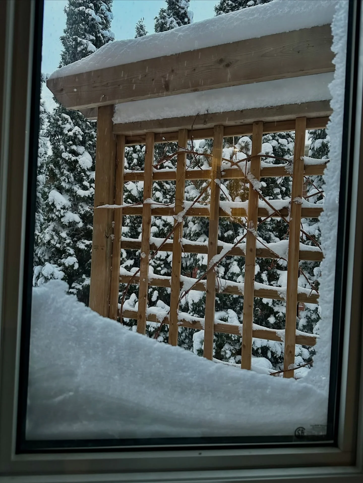 Winter grapevines in Ontario.

#snowday #icewine #grapevines