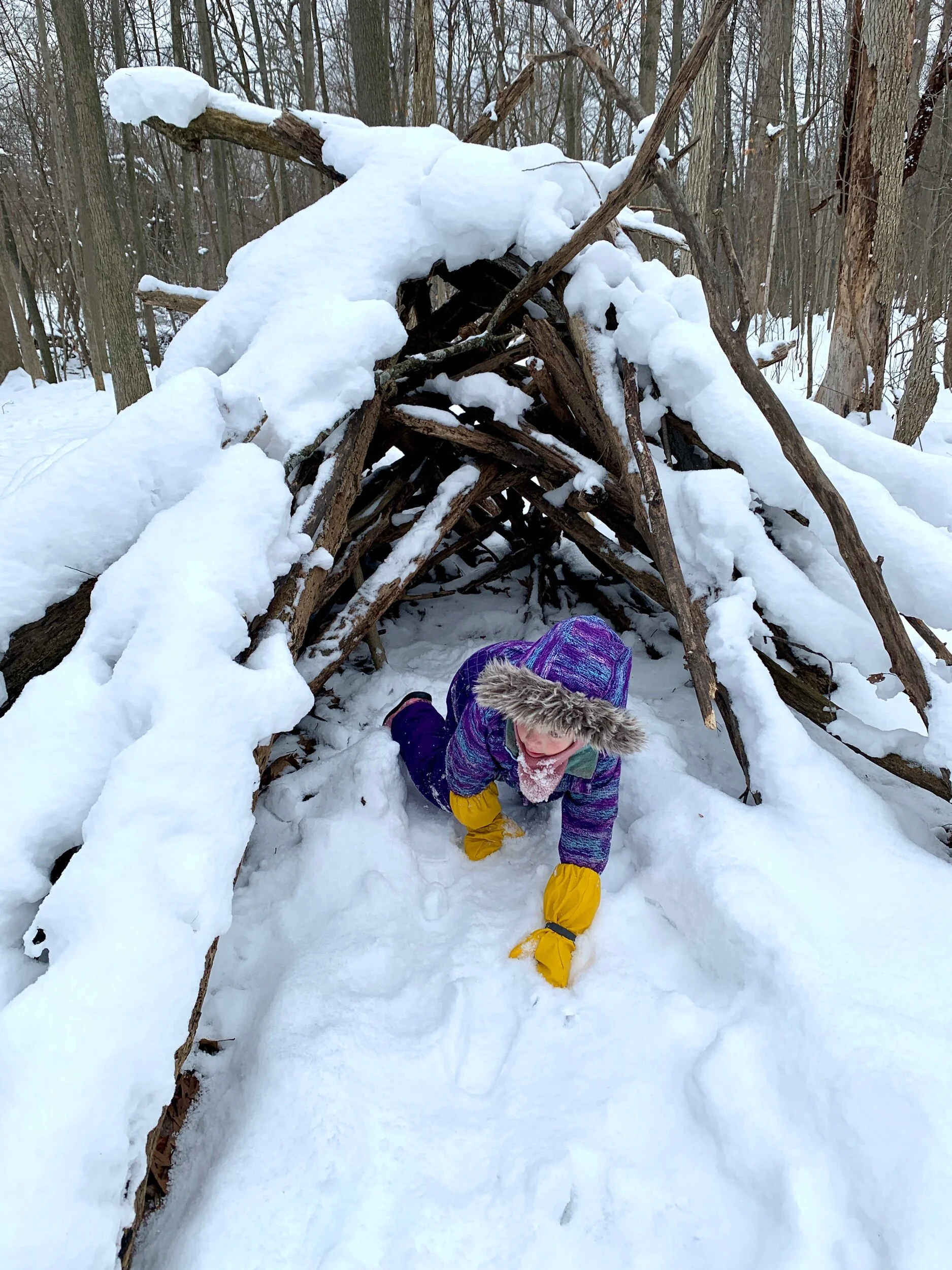 4160DF61-BD8D-4F61-A4EB-2E56981B9AF7