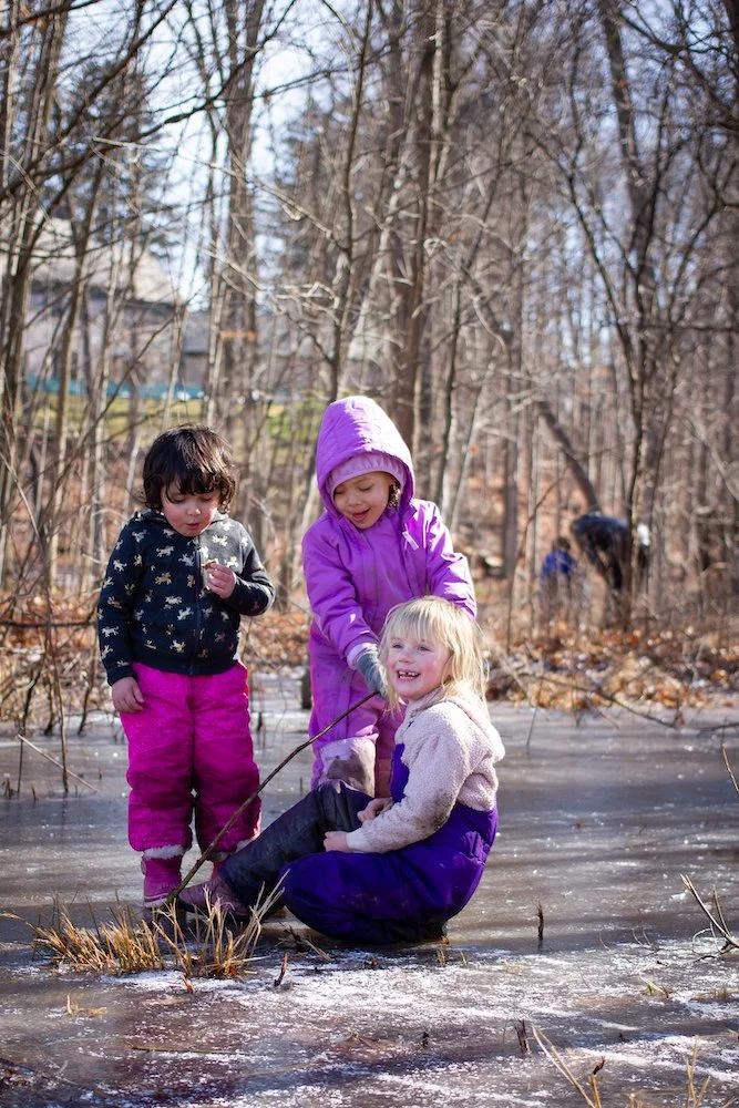 email IMG_1202 copy.jpeg