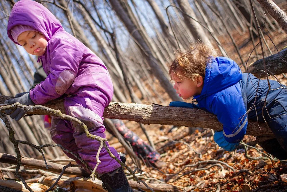 email IMG_1184 copy.jpeg