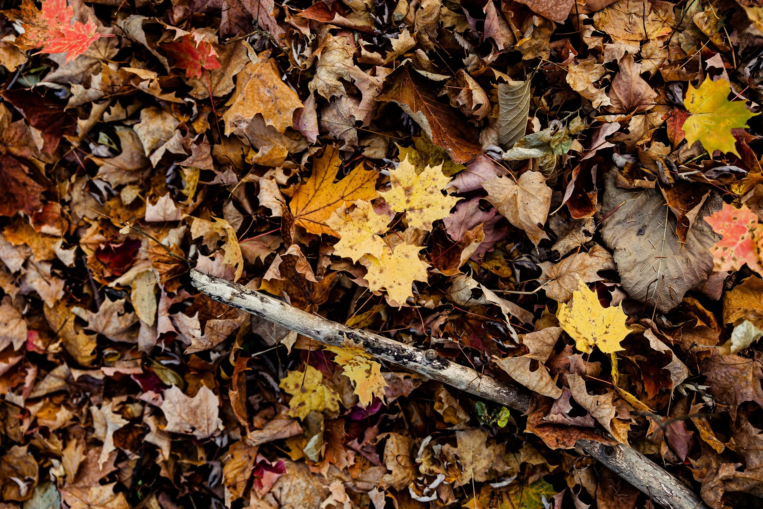 oct 2022-9.jpg