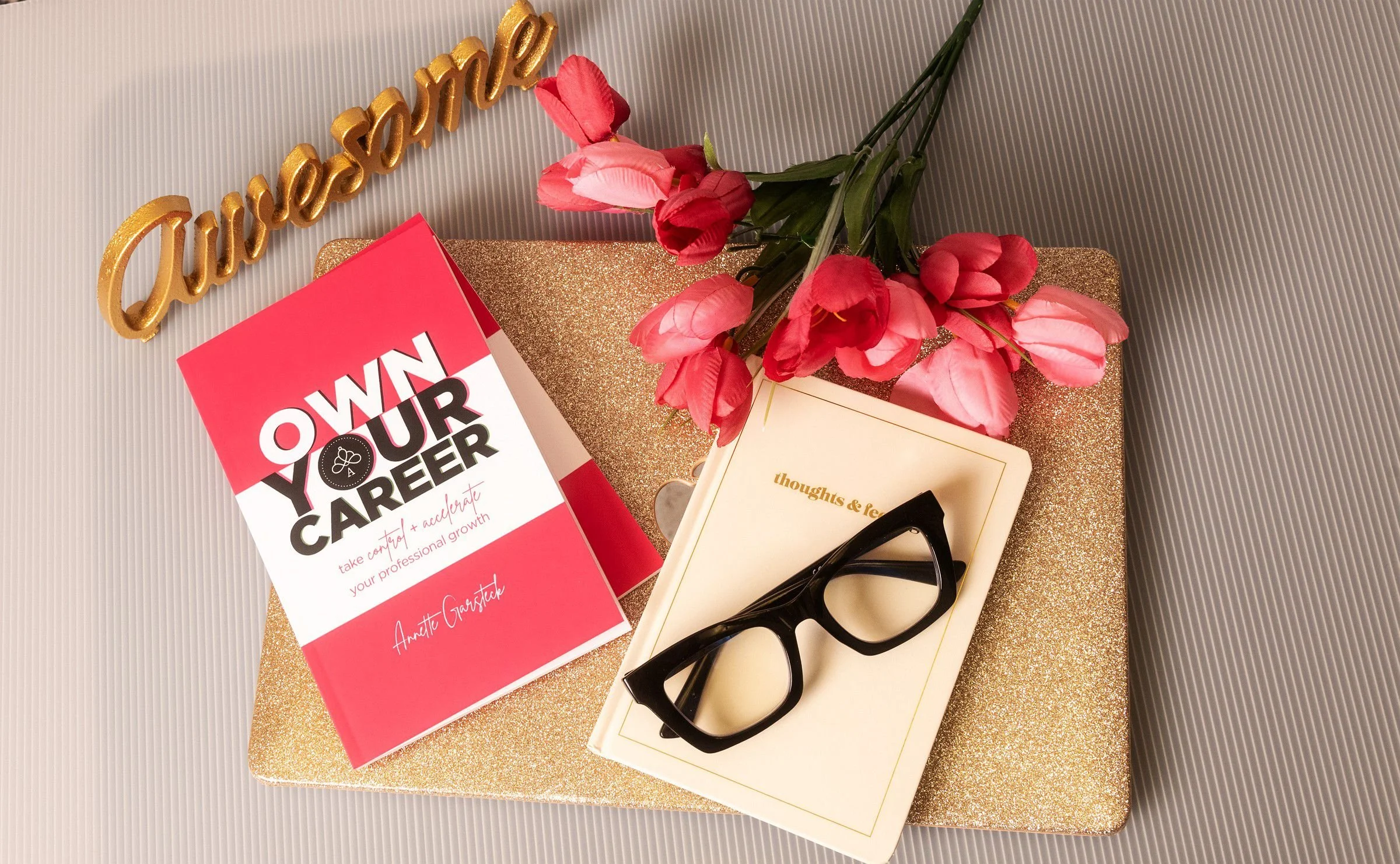 Own Your Career Book Cover by Annette Garsteck