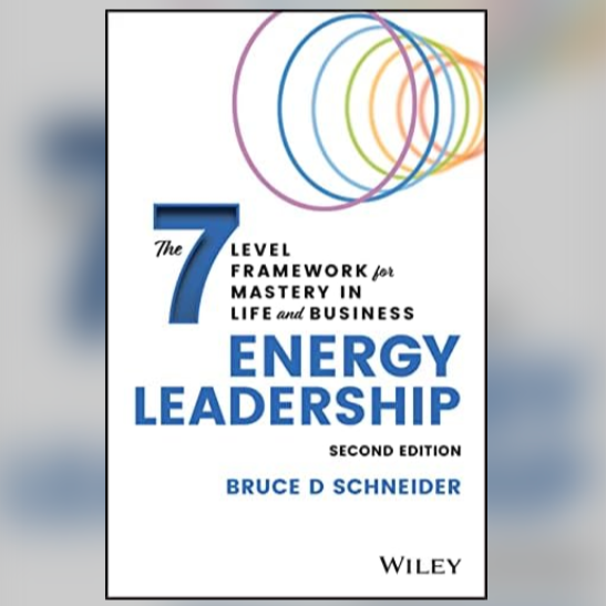 Book cover of Energy Leadership by Bruce D. Schneider