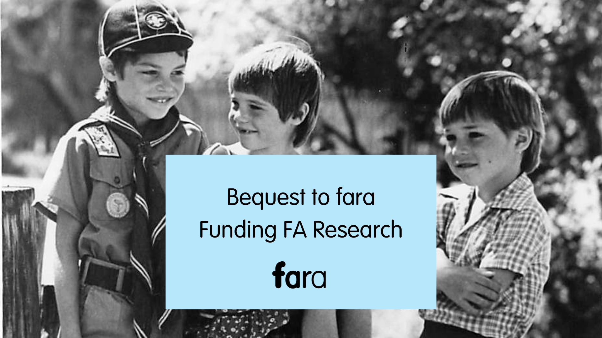 Blog 2 — fara Australia