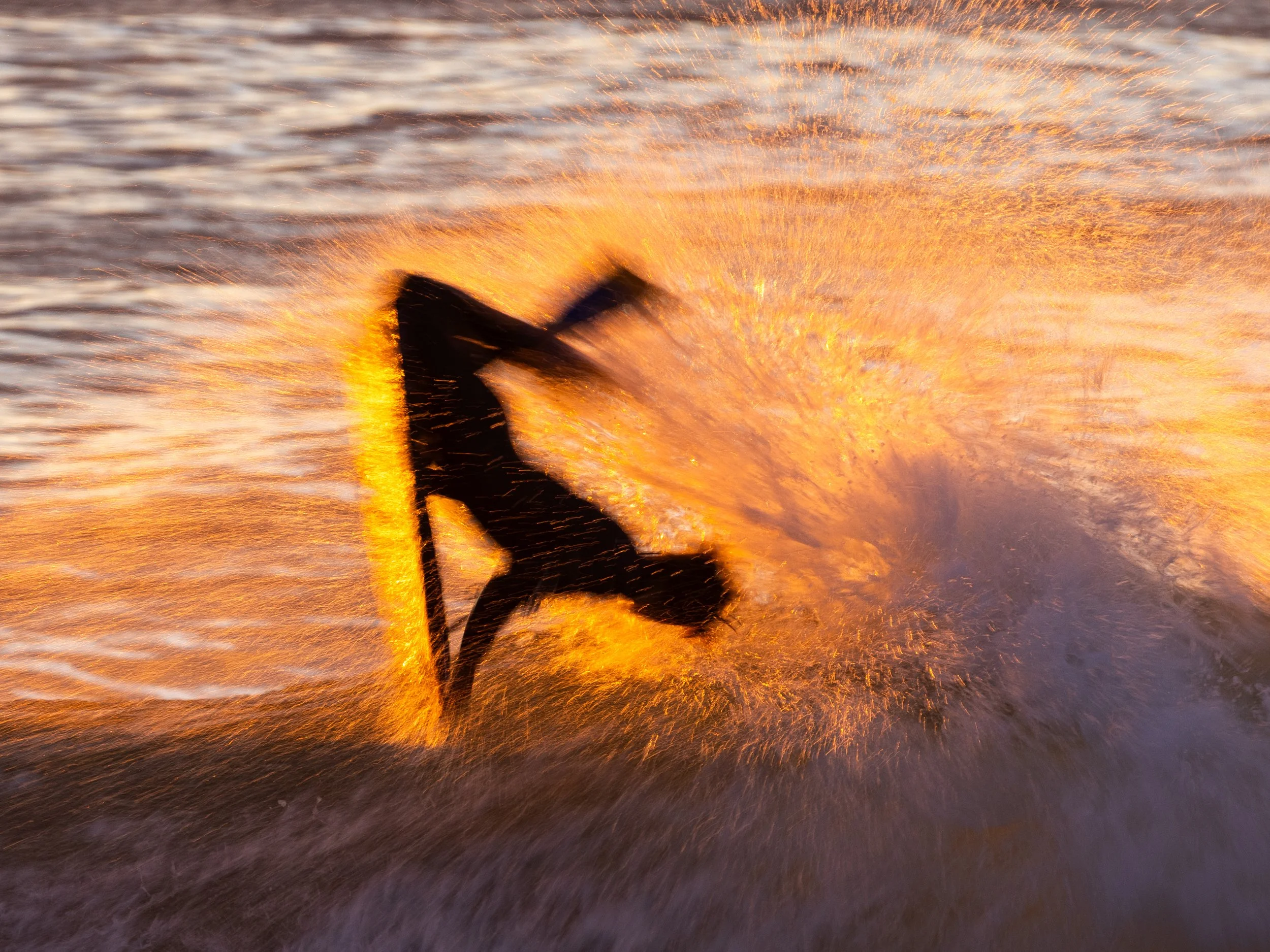 wa.jpg