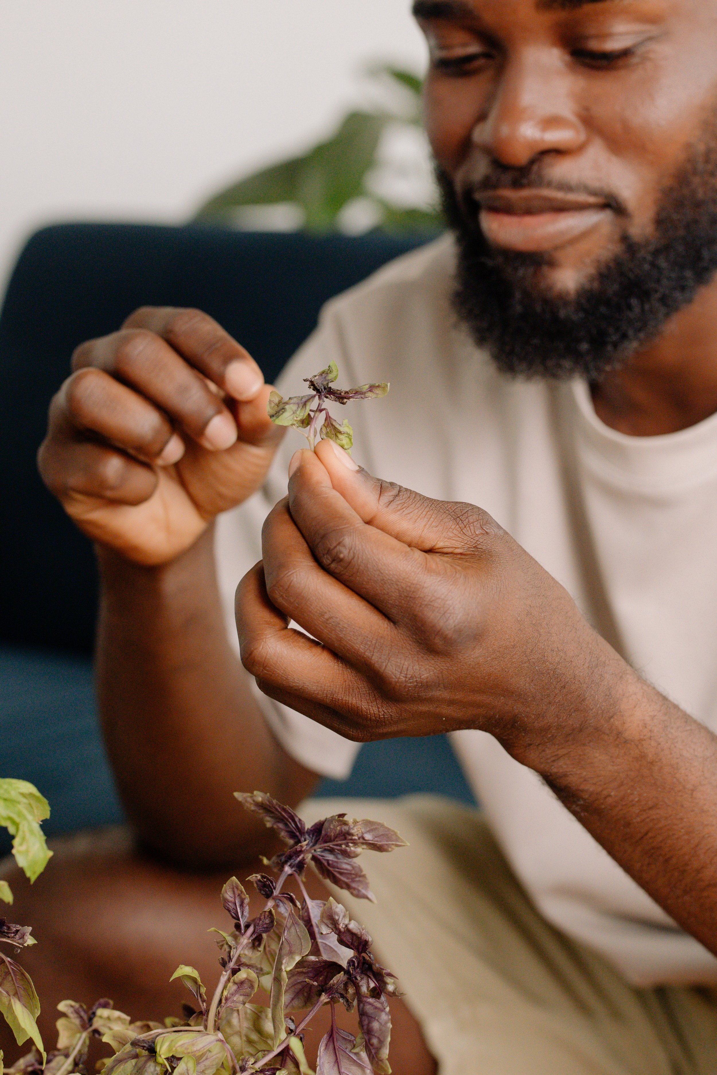 pexels-cottonbro-studio-9709376.jpg