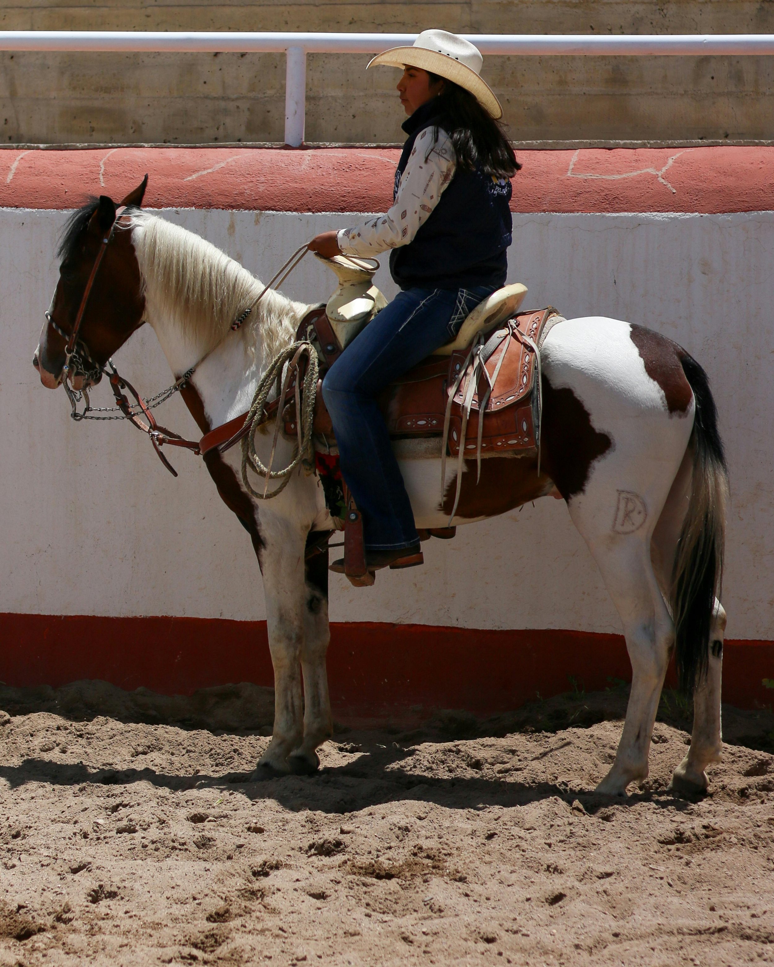 pexels-anya-juarez-tenorio-227888521-28246840.jpg