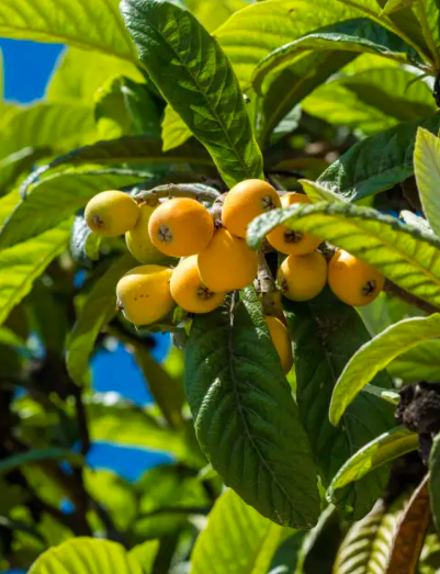 Screen Shot 2026-03-29 at 2.59.57 PM.png