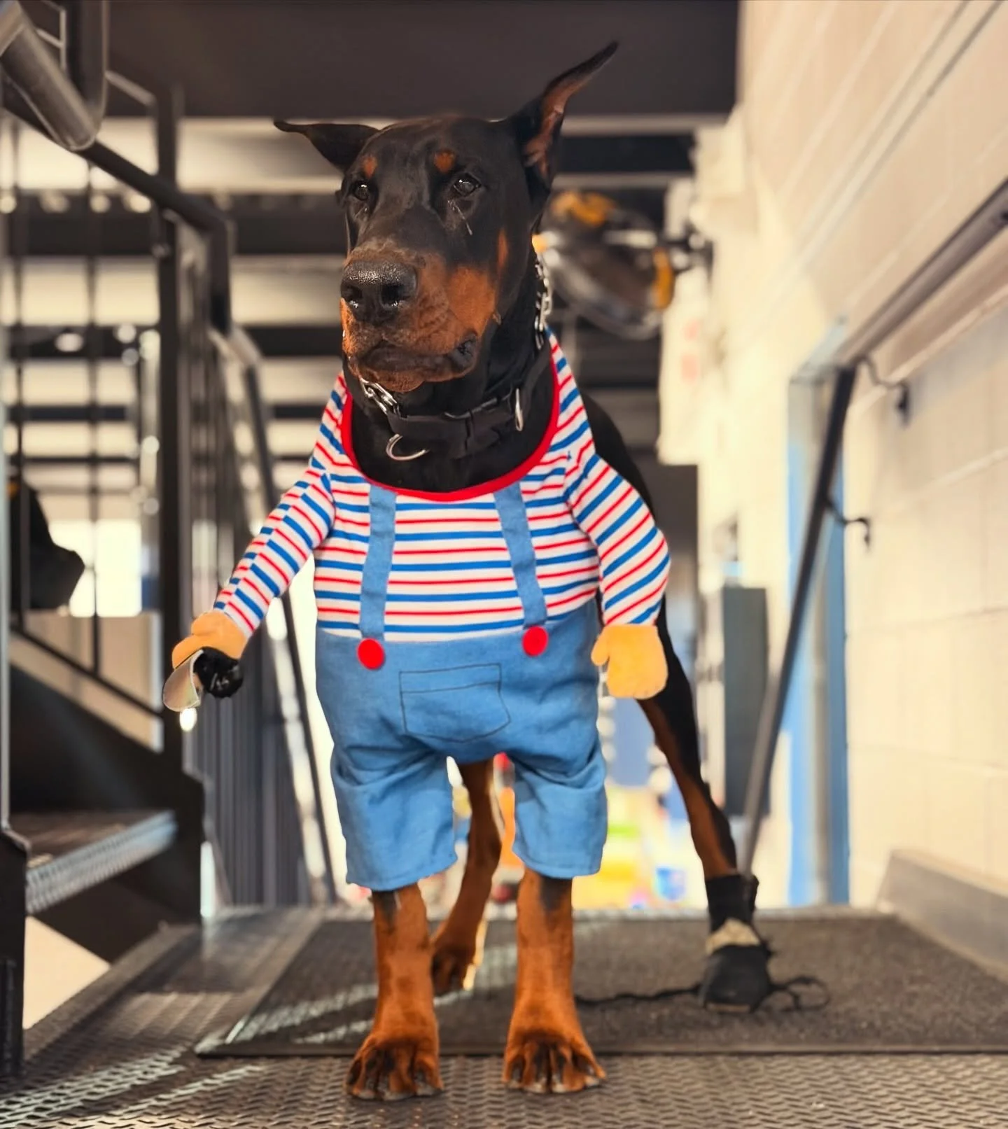 HAPPY HALLOWEEN FROM US AT RBR. @redbeardracing_